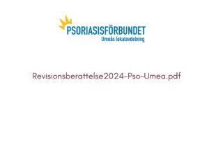 Revisionsberättelse2024 Pso Umeå