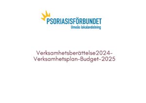 Verksamhetsberättelse2024 verksamhetsplan 2025